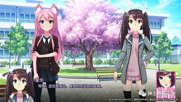 【会员专属】《黑莓NOVA二部曲》免安装中文豪华版