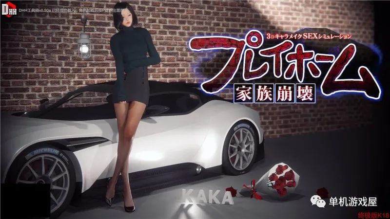 【会员专属】《崩坏家族Playhome V20》终极整合版+人物档