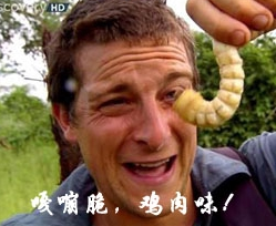 【会员专属】《异种注意：捕获未知生物》 新四章+2外传精翻汉化版