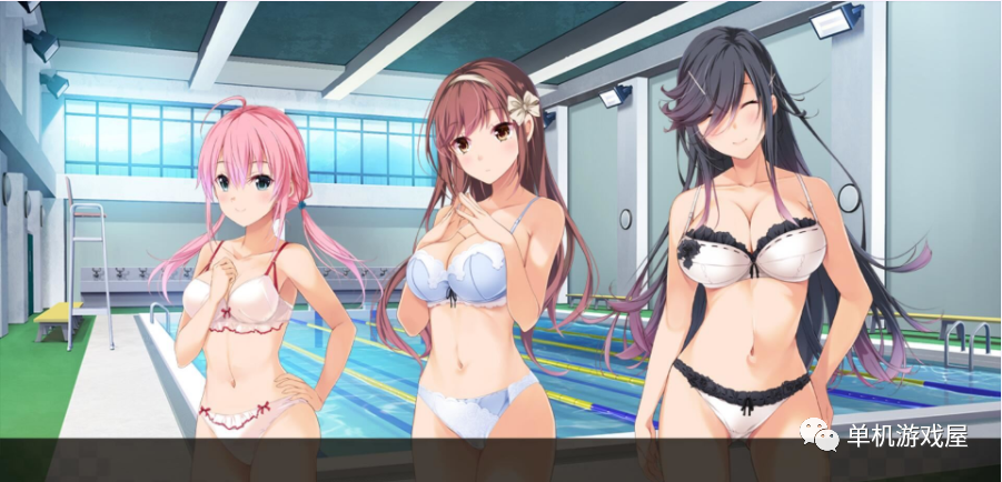【会员专属】《虏之绊：掠夺学园与处钕哀鸣》完整版+全DLC+存档+攻略+CG