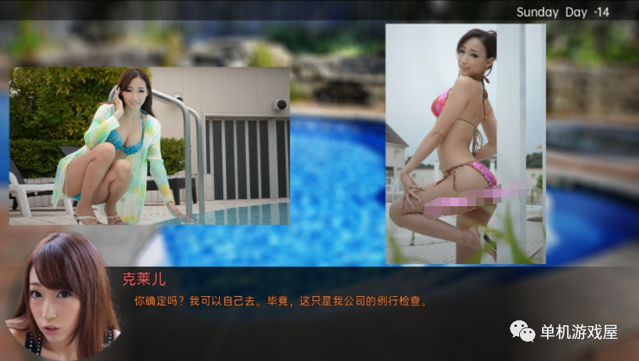 【会员专属】《厚颜无耻的十四行诗》 V1.0 精翻汉化版+全CG