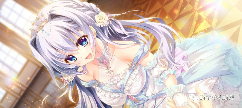 【会员专属】《9-nine》 STEAM官方中文四部曲全系列合集 动画+存档