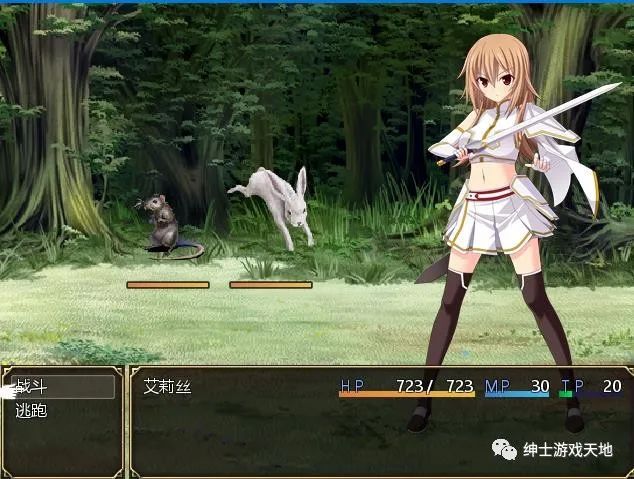 【会员专属】《圣装女骑士艾莉丝》V1.12 PC+安卓完全汉化版+全CG