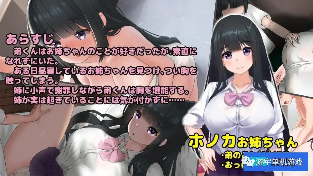 【会员专属】《希望被弟袭击的姐姐》Ver1.01 步兵完全版