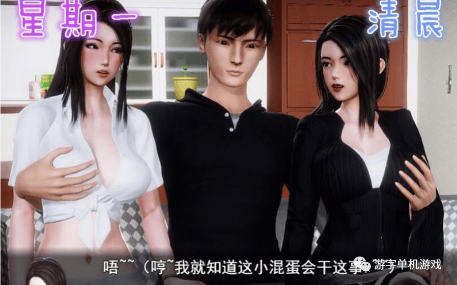 【会员专属】《风骚人生》Ver3.40 众筹中文作弊完结版