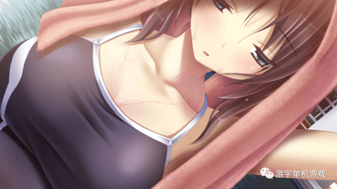 【会员专属】《青鸟》v1.0.3 免安装中文汉化版