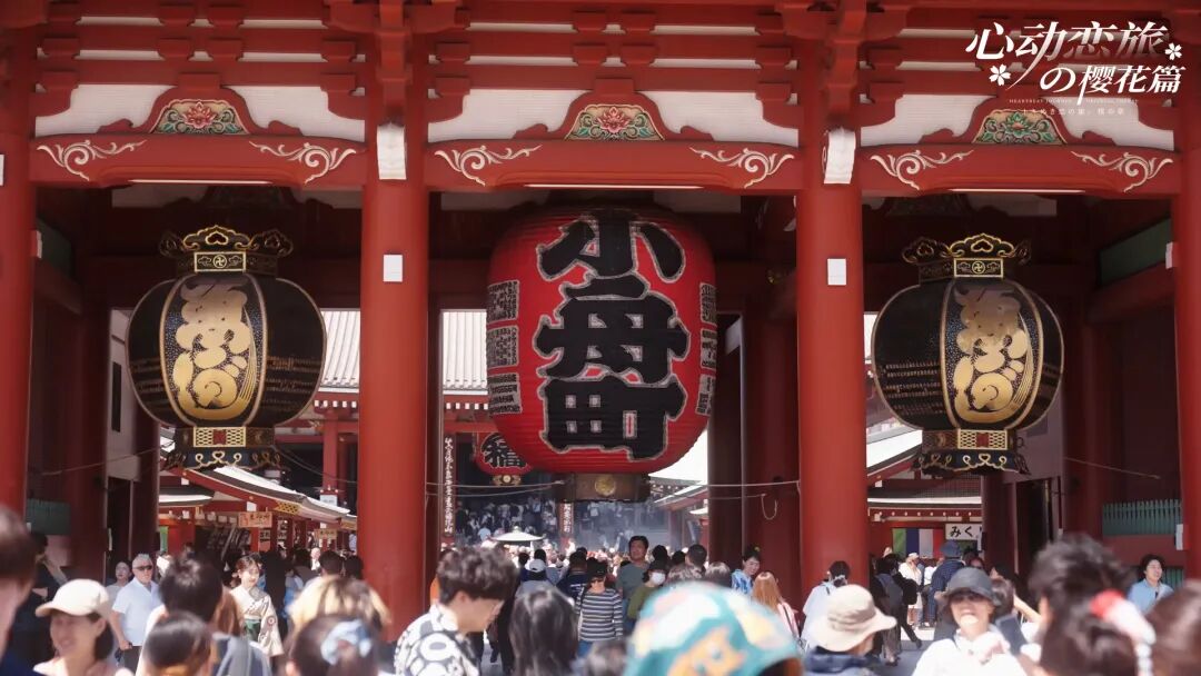 【七夕推荐】《心动恋旅：樱花篇》免安装中文学习版