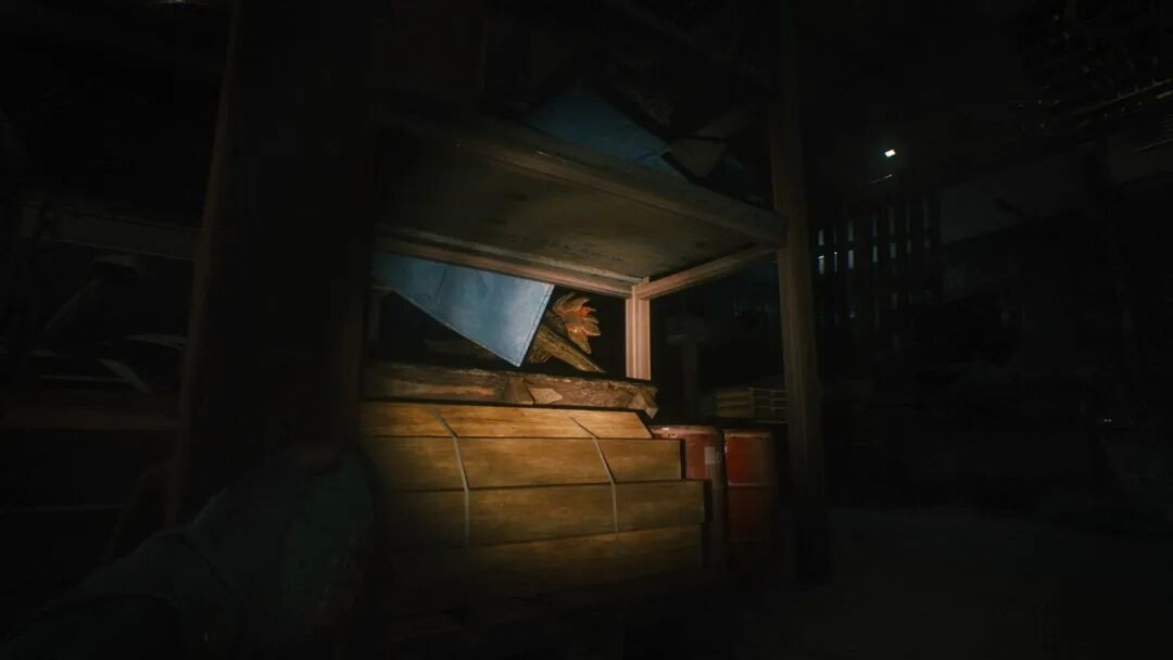 《寂静之地: 前路漫漫》v1.1.0 预购特典+全DLC 免安装中文学习版